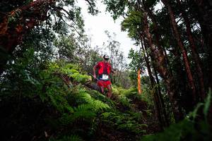 BIB: 
                            <button type="button" onclick="openModal(26203806)" class="btn btn-primary btn-sm float-right btn-popup" data-toggle="modal" data-target=".modal-high-quality">
                        <i class="fas fa-shopping-cart"></i> Add to Cart
                    </button>
                                            <button type="button" onclick="isThisMe(26203806, true)" class="btn btn-success btn-sm float-right btn-popup btn-isme hidden" data-toggle="tooltip" data-placement="bottom" title="นี่คือรูปของคุณใช่ไหม คลิกที่นี่เพื่อเอาเข้าอัลบั้ม">
                        <i class="fas fa-plus"></i> Add to album
                    </button>
                    <button type="button" onclick="isThisMe(26203806, false)" class="btn btn-warning btn-sm float-right btn-popup btn-isnotme hidden">
                        <i class="fas fa-ban"></i> Remove from album
                    </button>